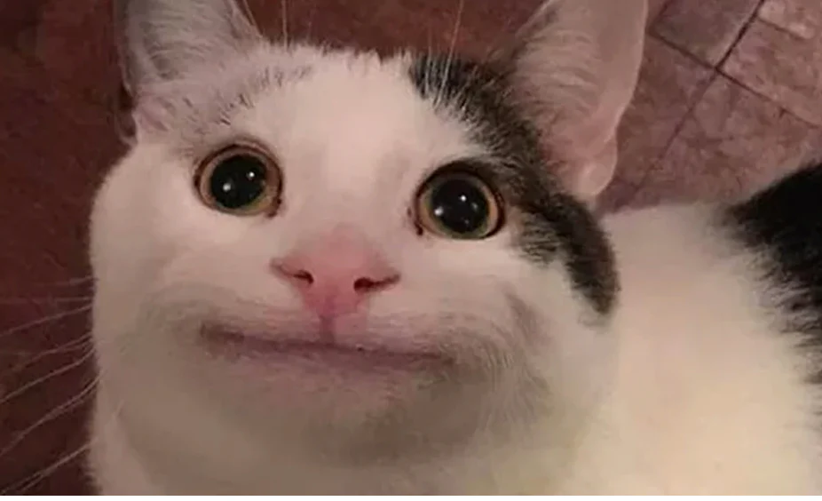 functorcat
