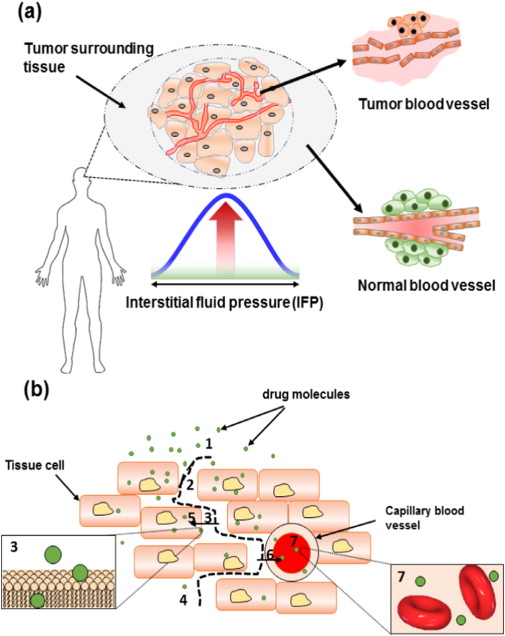 Image Credit: ScienceDirect.com